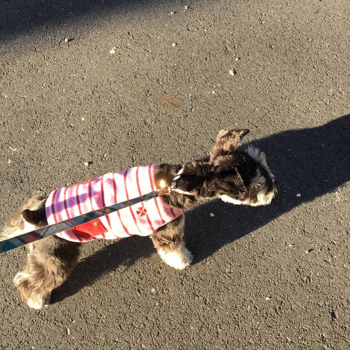 C1132360 8b31 40b0 b290 1c8b3a58736b