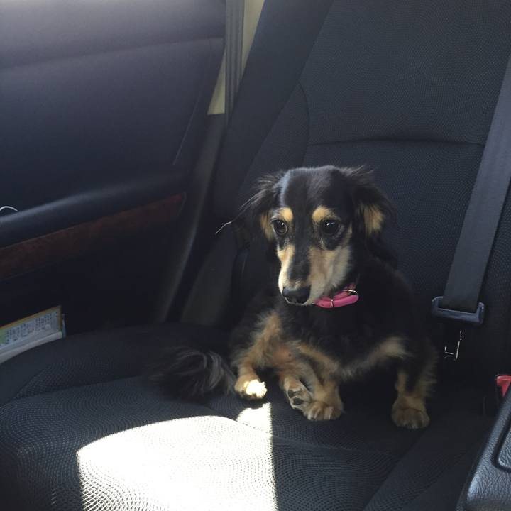 C113e431 866d 416e 89d7 19d4c28756d8