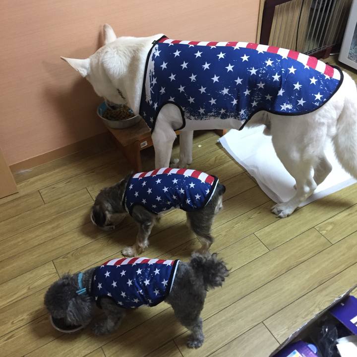 C114849e aff0 49e9 8c8e c96fcf2678ae