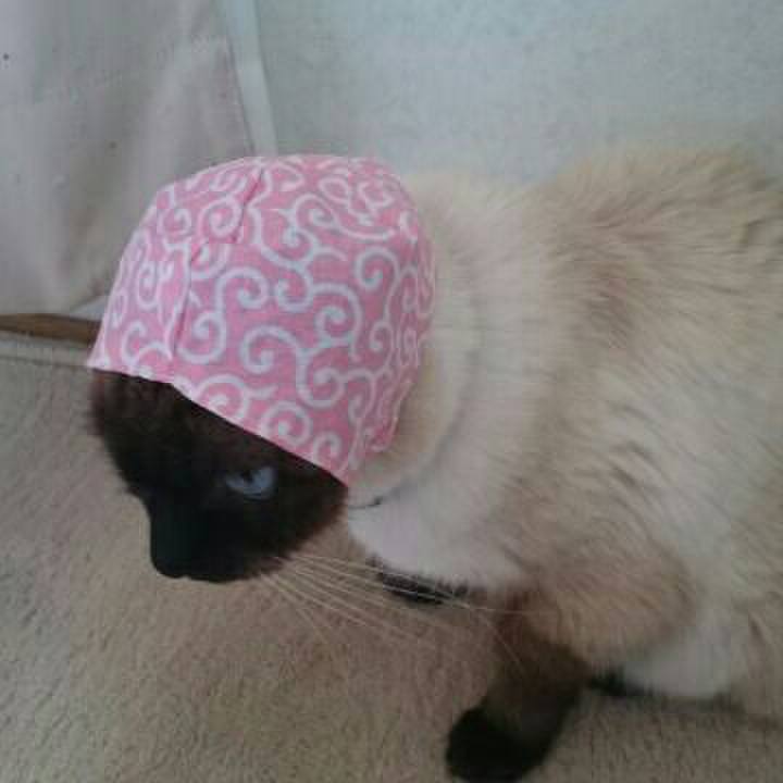 C114f985 75f7 4b9b bc27 08b9d61f7e53