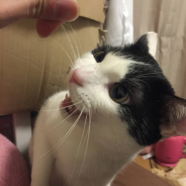 C1150c5d 85f8 4b30 bd6c 9a4fc86f0c98