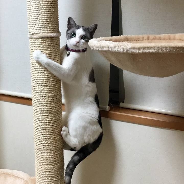 C1151b70 f746 4a78 af82 7db5d7366deb