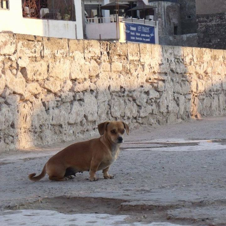 C11528a9 f6bb 47c5 8074 297077aae5fd