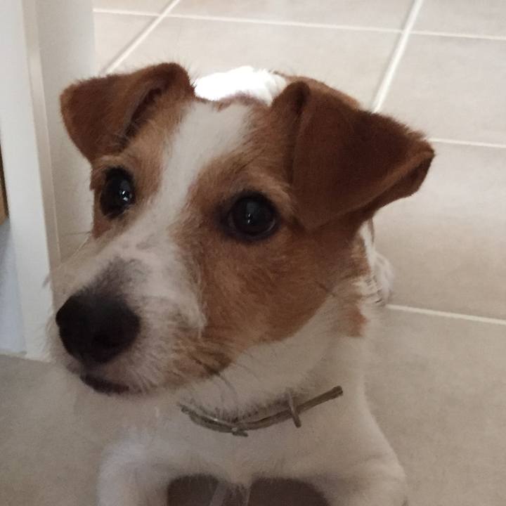 C1155940 ad2f 4511 85d6 3e3a564d70be