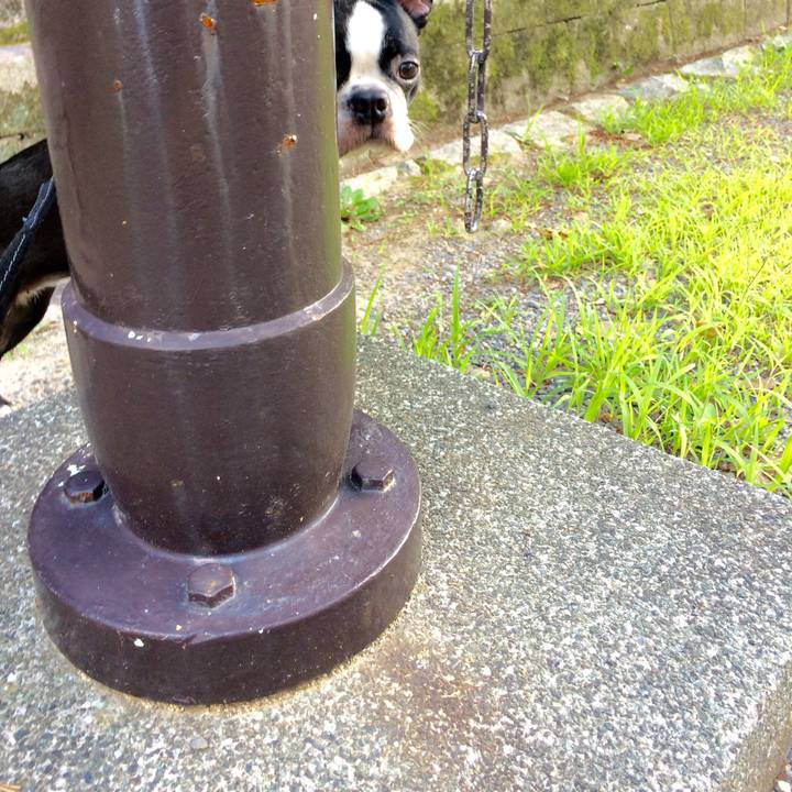 C11560b0 8e6f 44f6 ad87 f4f57286d6cb