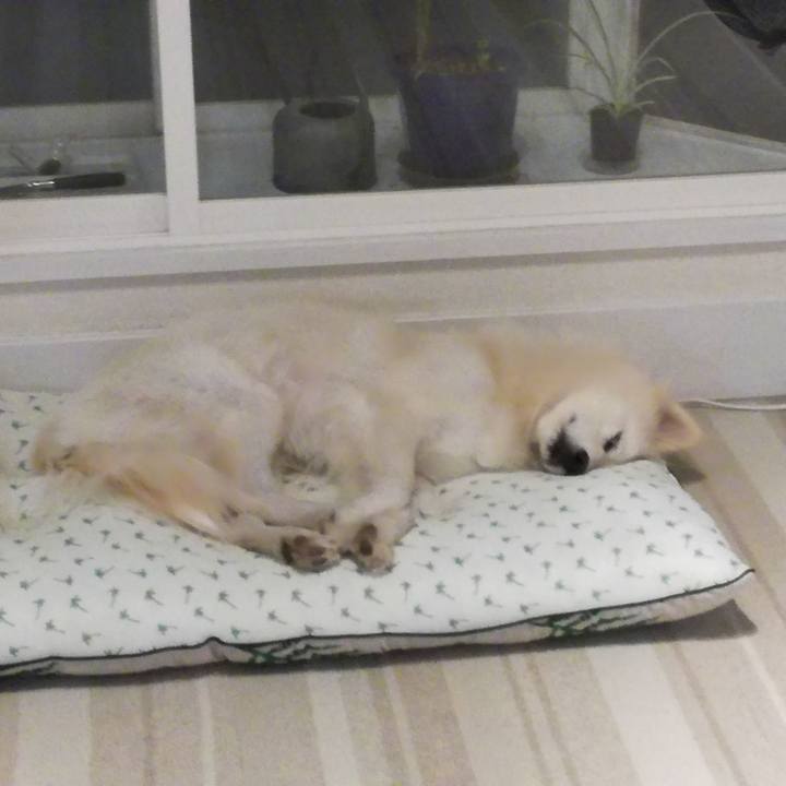 C115b010 51ba 4aa2 970a 63db38faacfe