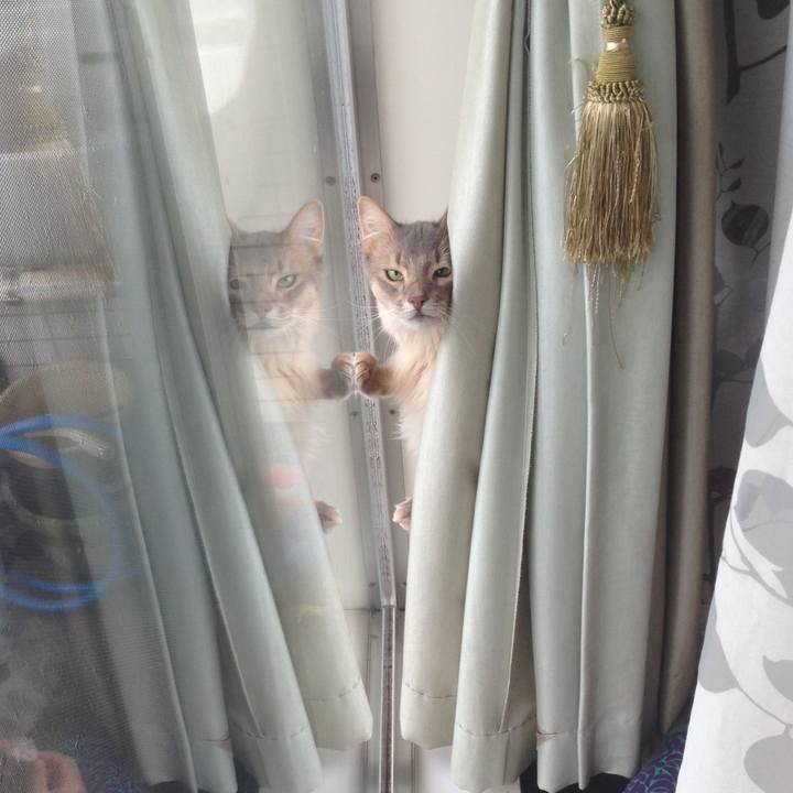 C117035c e2dd 41ad 998e 444f1ef6847a