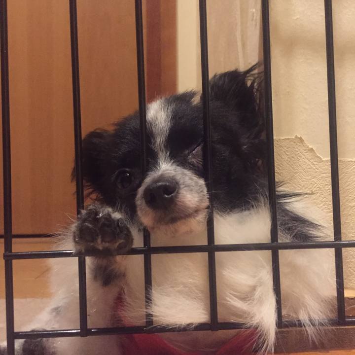 C1175107 820d 451e aaa0 f40f71f4ff5a