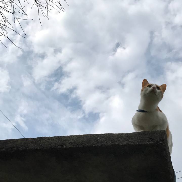 C1177d62 de5a 43ce bb9a 659e9b328031