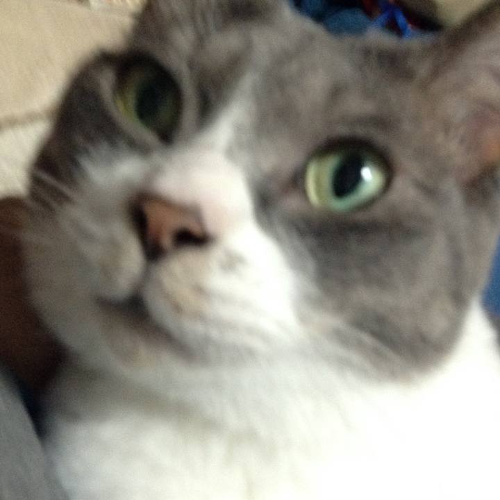 C117aaf8 a462 49d6 9f65 e45949359fb5