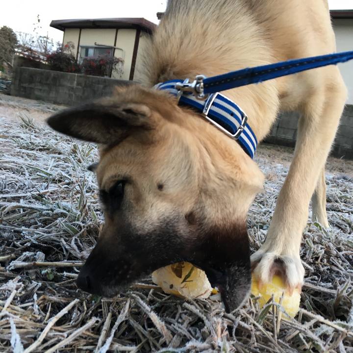 C1185e6e dc88 4e70 8db3 6b9ff12f2af3