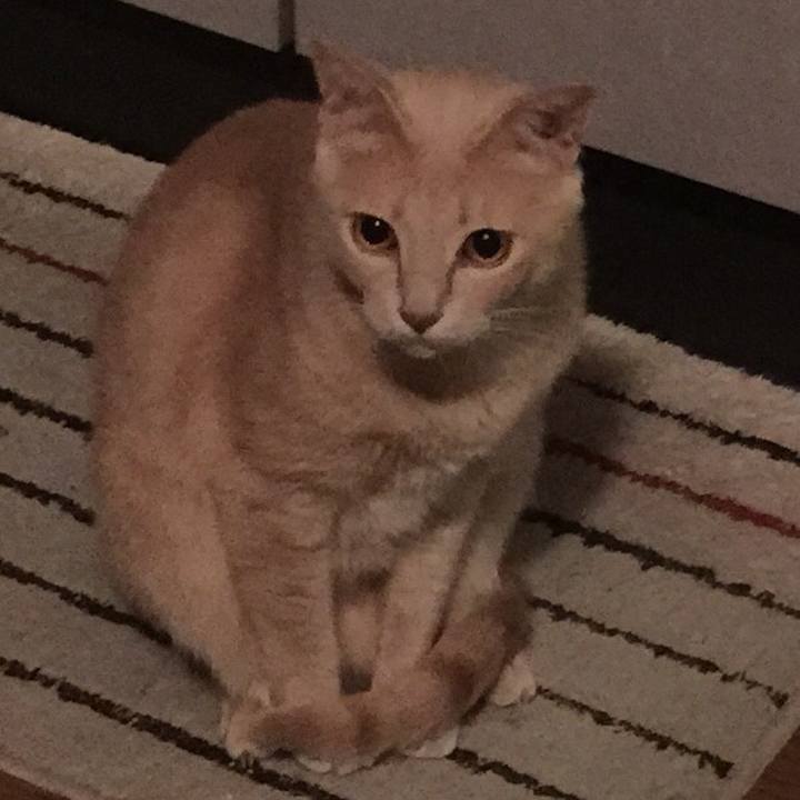 C11911c7 b9d2 4f2b 9083 ec78b35ed78b