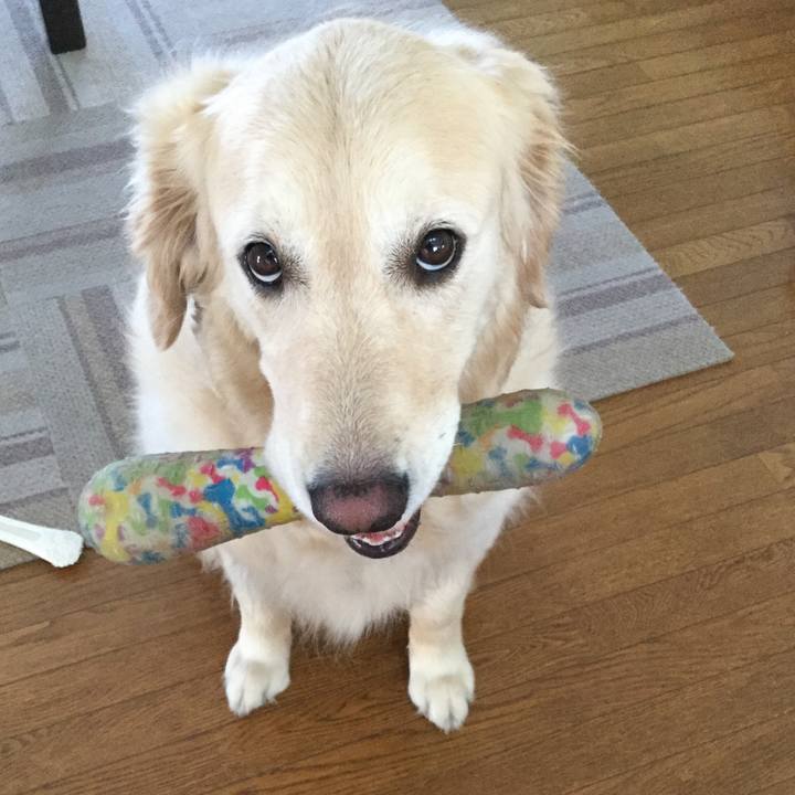 C119438b 3c49 4942 888f e13887034dff