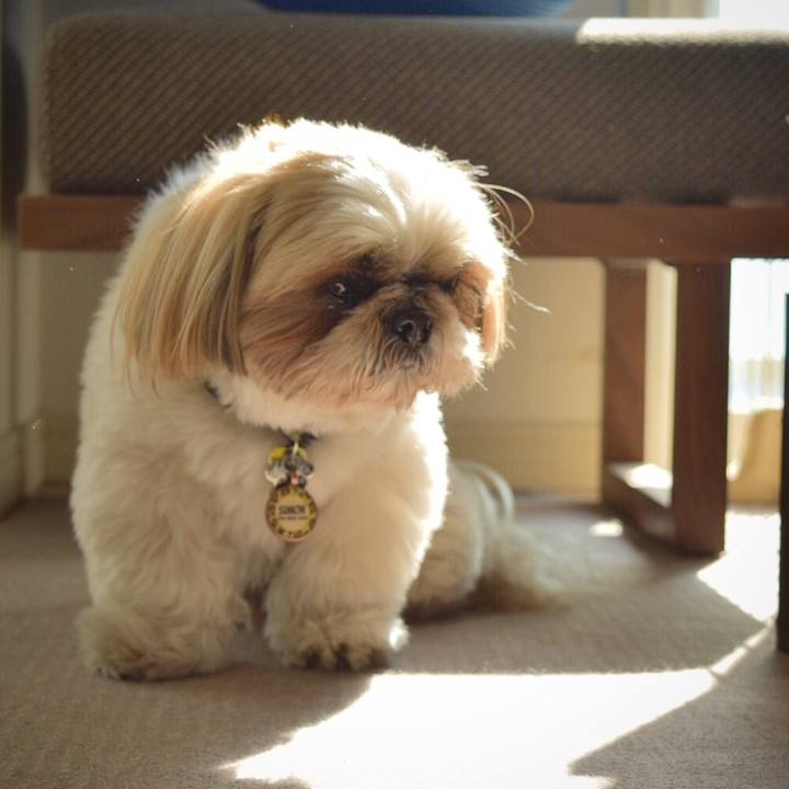 C11a09ea df89 4f59 96e4 0afcba3599f6