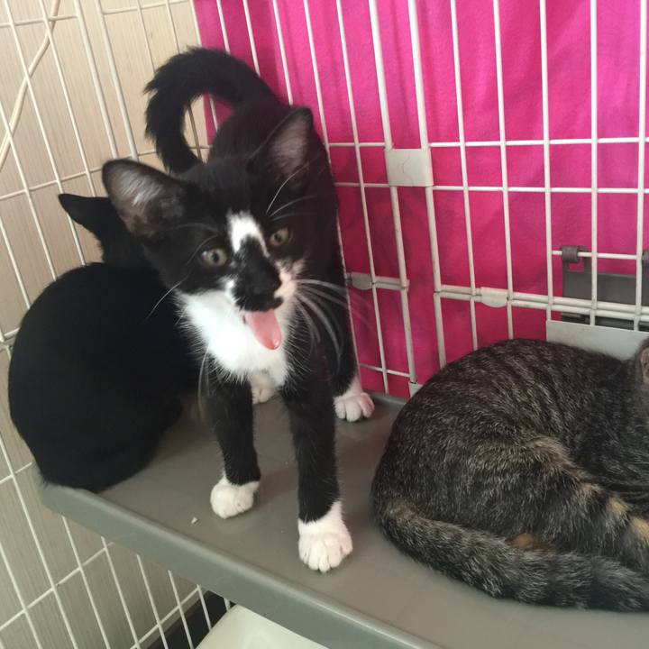 C11a296c 0802 4d38 9853 d41cf1a2f3dc