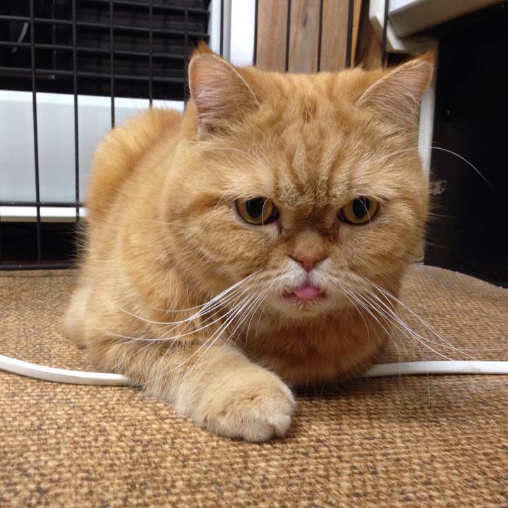 C11a961c fbee 4c49 ab3e 90cb4ddd8c7d