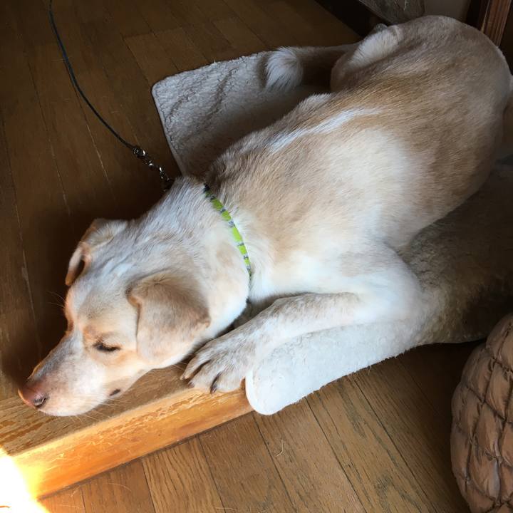 C11aa650 e9f5 4b47 ab7b 1ba655a16ec2