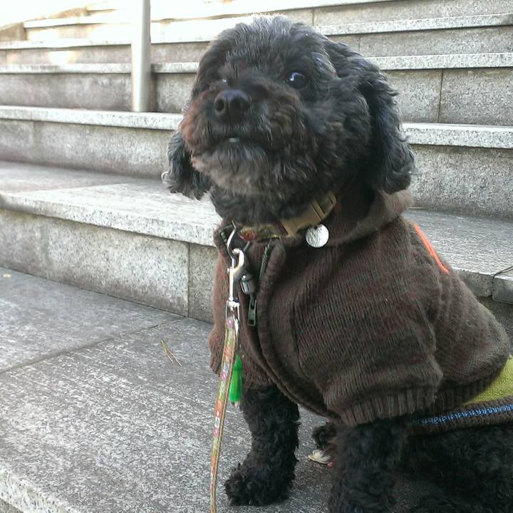 C11abac1 f3e9 4f65 8932 5d870e679c41