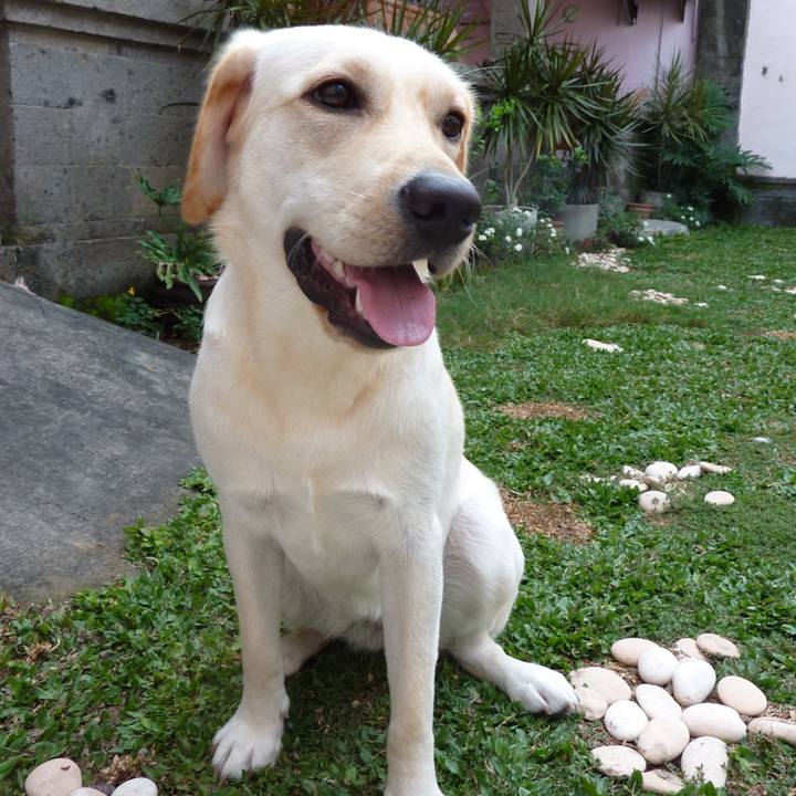 C11ae1b5 4c30 4512 980e 942af387a567