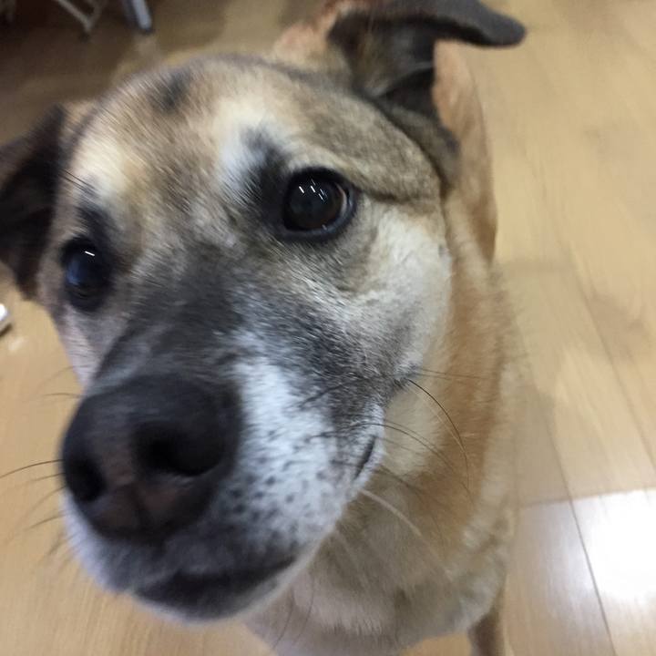 C11b716c d93b 48ce 81a3 9d73aadec2ac