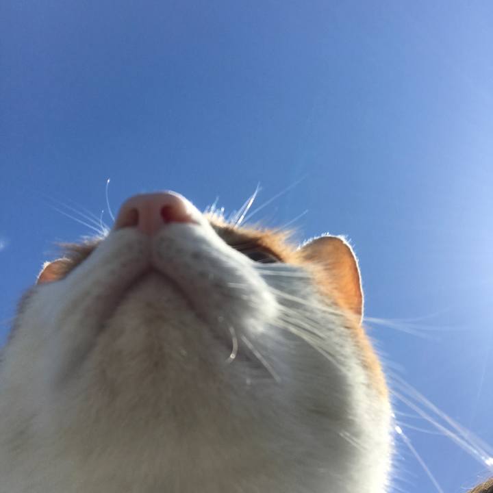 C11bae0c 969d 4536 89b9 508332b2f6e8