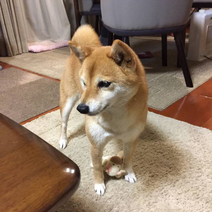 C11ceeb2 d5e2 4cbc 99b6 e12fe370f3d2