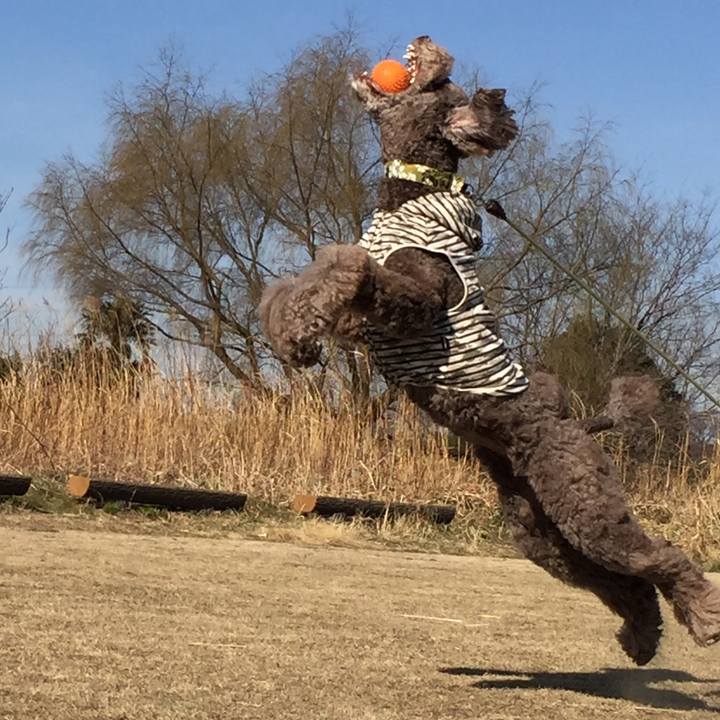 C11d6aae 52fb 4083 85f2 91a0192dd357