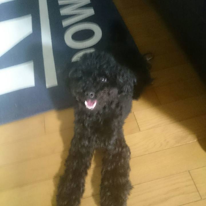 C11d8d75 0273 442c aaea ce0bd85a0c54