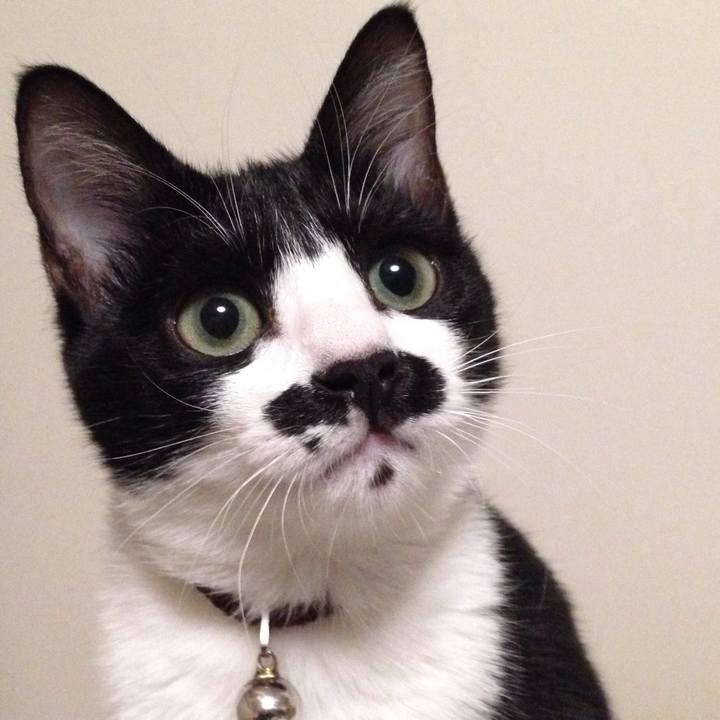 C11dae66 2c48 4a7e 8b08 940f283a1073