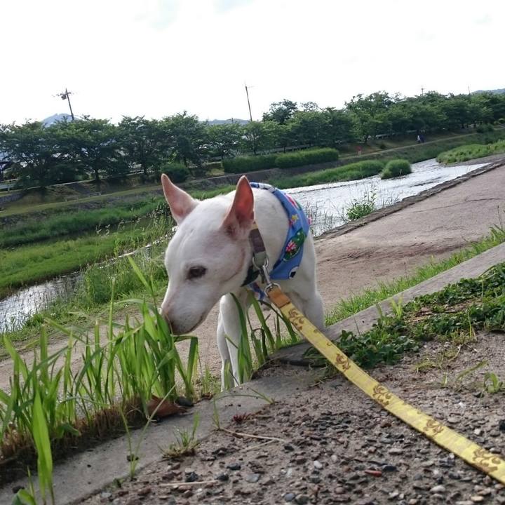 C11e3ffd af22 4ba0 97a3 3c23f921841d