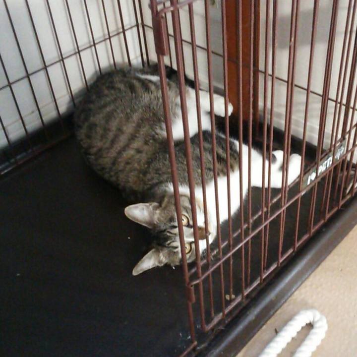 C11e753d 9b41 45d6 ae7b df9c36083992