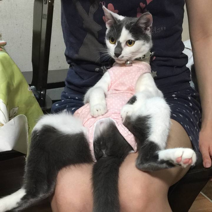 C11e8e10 901a 4ef0 a52c a08e6a37e927