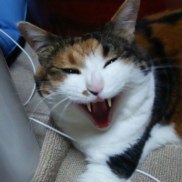 C11f95b6 f9a1 4946 a7c1 298ee550df3d