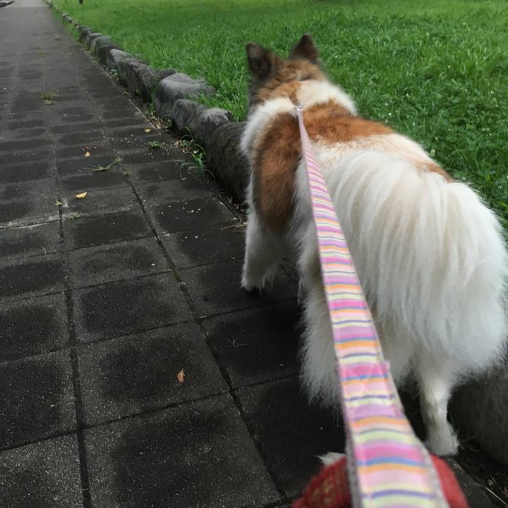 C11fe62d 3a63 48d1 8a08 c6bac221e71c