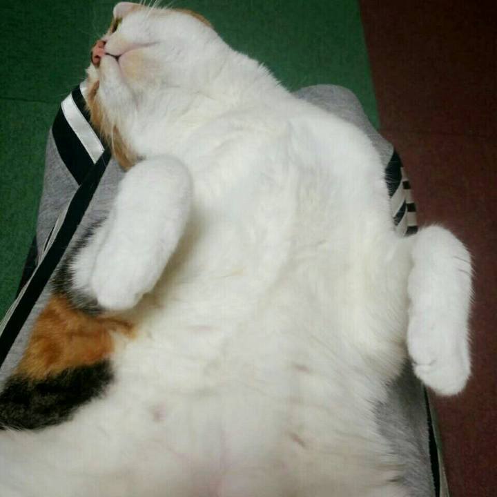 C120b87a 21a7 43d5 9be5 2c8871109deb