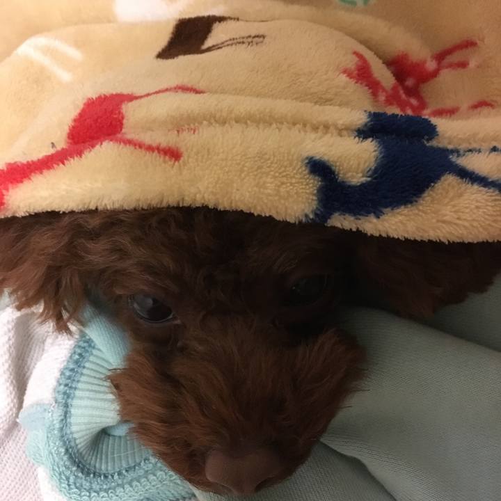 C12161fd 493c 4092 8553 695740db2119