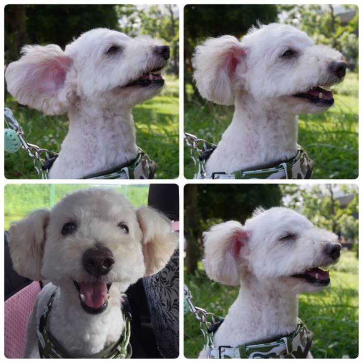 C1216b55 315e 4da6 9b6a afcf6197b2ff