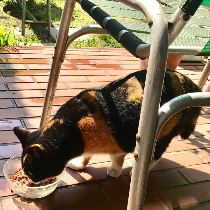 C122993e 5702 4d37 87ad 09e80b3d52ac