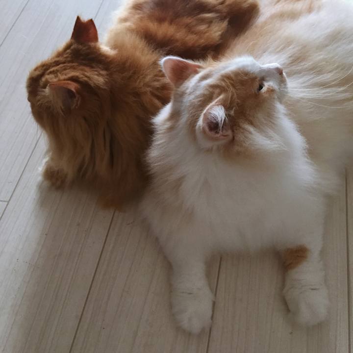 C122d3b4 cfa5 47d9 b097 18b17352c2f7