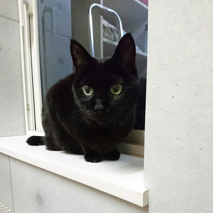 C1230235 62ce 491d 9d5e 665a89cff57b