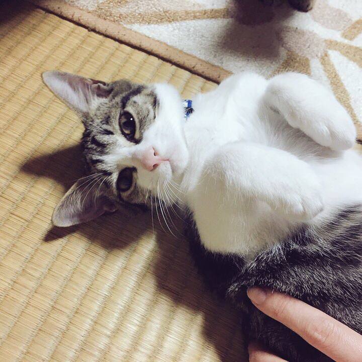 C1231c75 6883 41b7 a422 b0cf82d27b3e