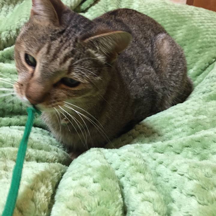 C1238f81 28b4 4157 92c3 32c2f1b63c7b