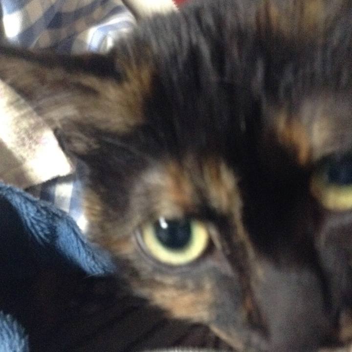 C1242deb 85dc 4223 9fdc 93ef594884ab