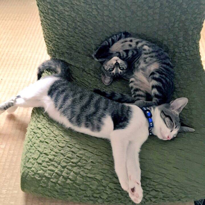 C12452f3 daa3 4a5c 9132 2e47c95f30e2