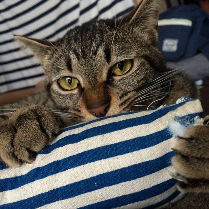 C1245c94 5306 4b7d 8165 9578df72fa09