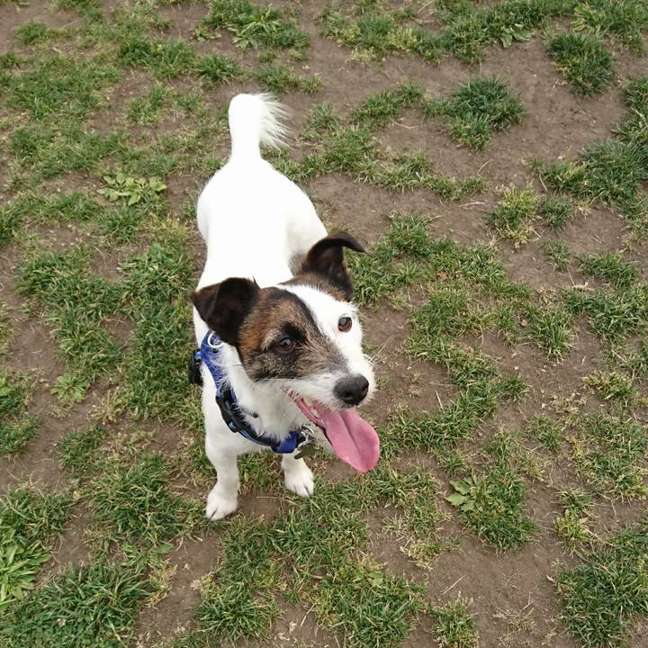 C12497be ca02 4e50 abee 80eca299c163