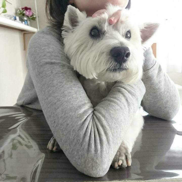 C12507eb 6f96 4901 978f bb9cdbe59d98