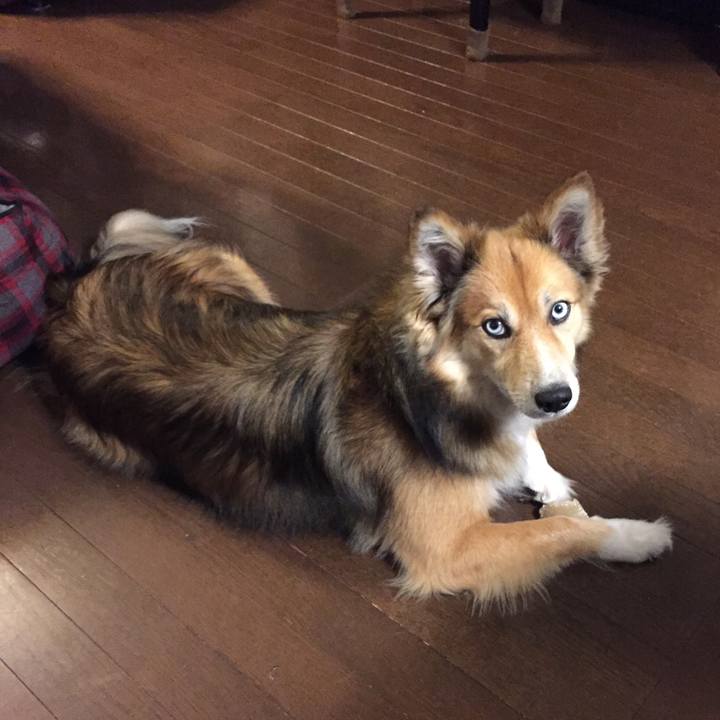 C1251894 82fc 48d0 8a6a 2fafec83a076