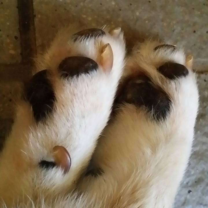 C12524eb dc2e 4122 8f68 6625f05d91c7