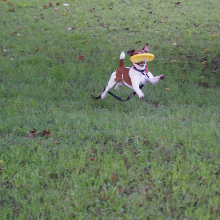 C12551a4 5d29 43e4 ac34 9c0bf0a8737f